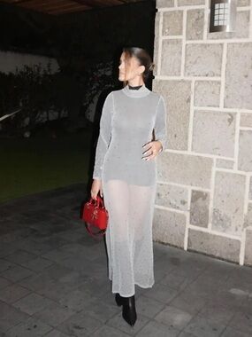 Zara | Elegant Sheer Gray Maxi Dress